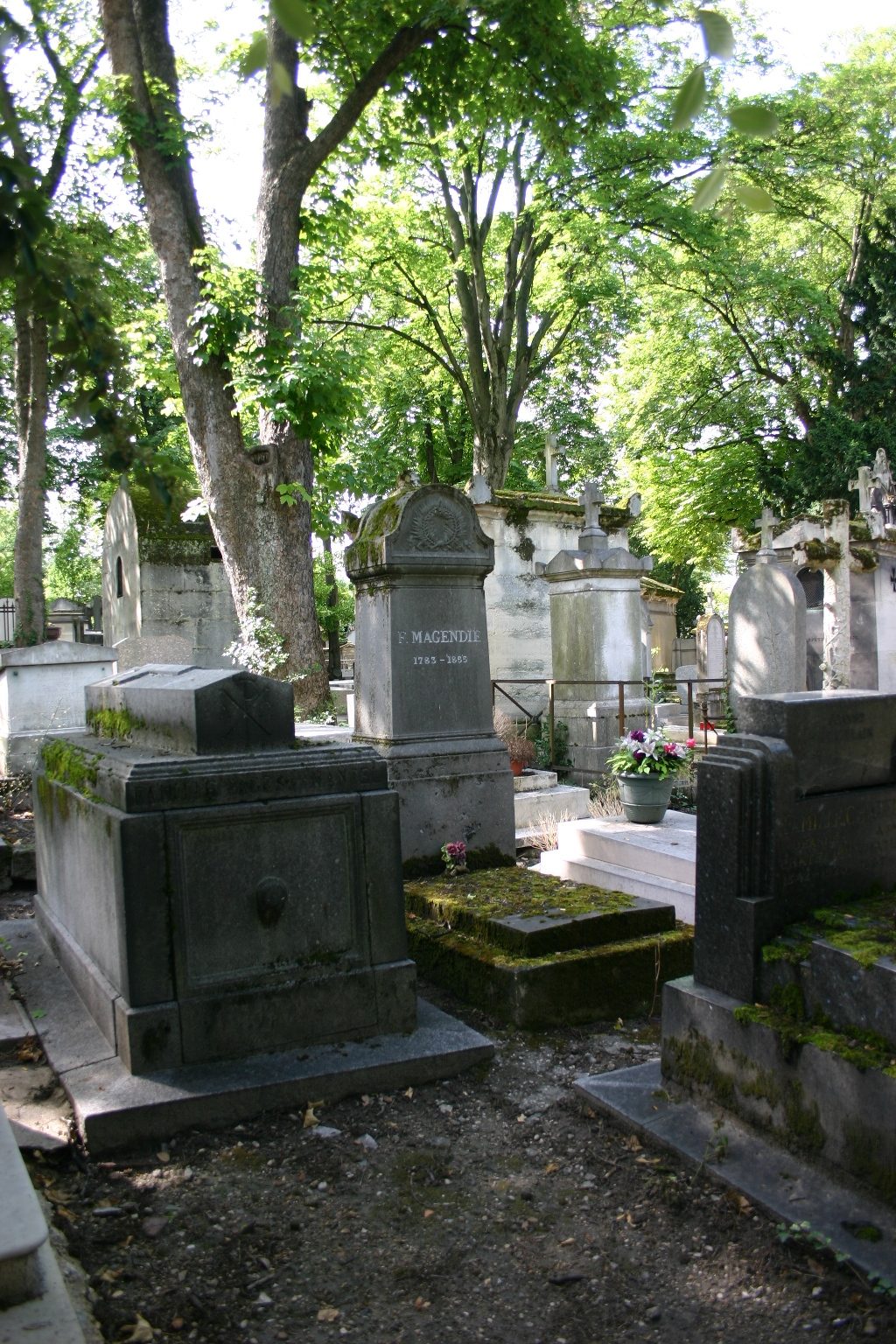 Francois Magendie's tomb, Pere Lachaise Cemetery, Paris (1).JPG